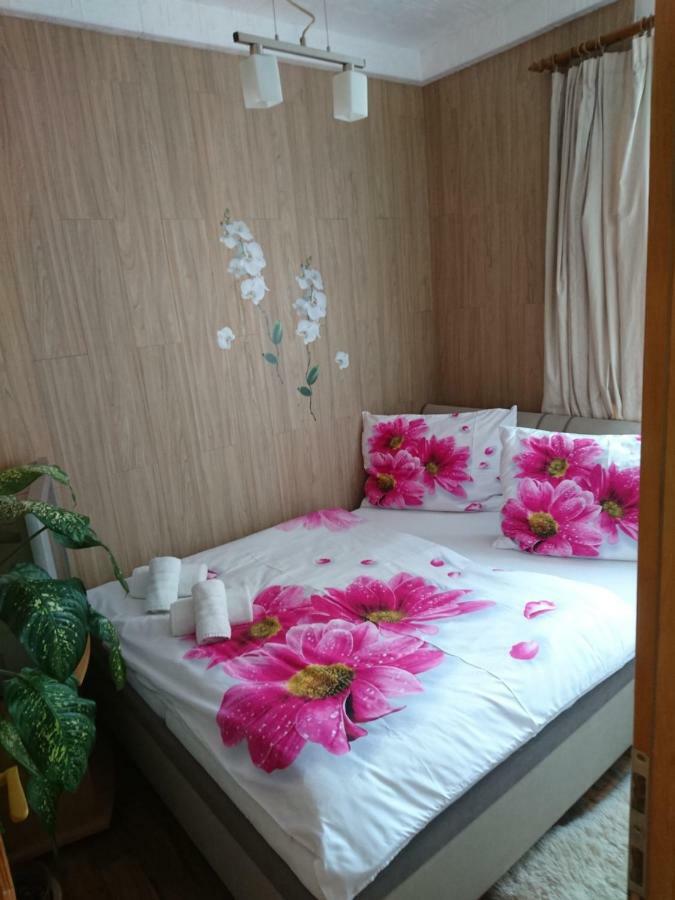 Apartment Hlinska Ческе-Будеёвице Экстерьер фото